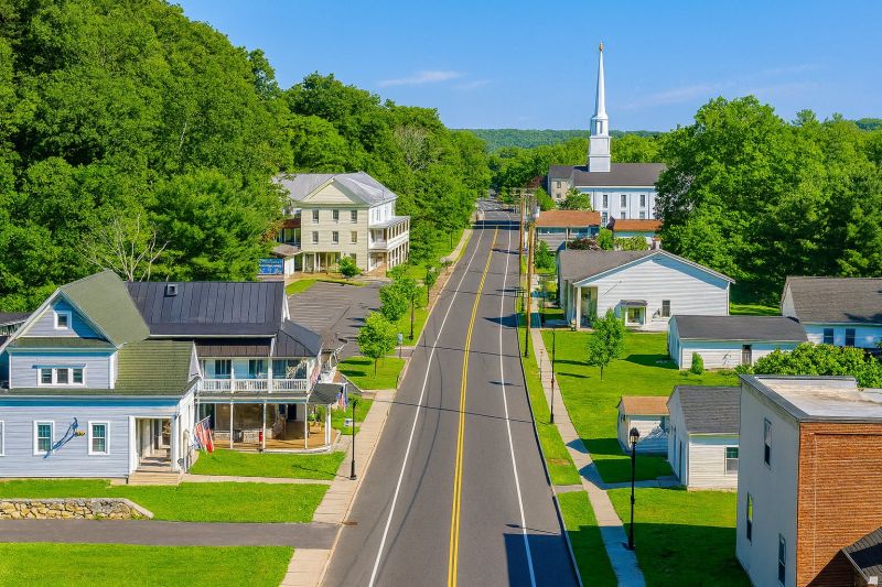 Cricket Control Service detail