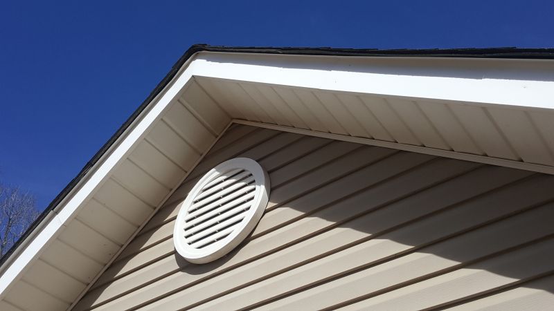 Vent Bird Removal
